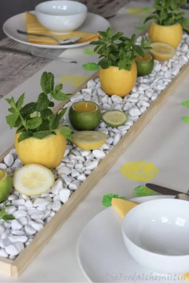decoration de table agrume citron petit gravier blanc plantes grasses succulentes