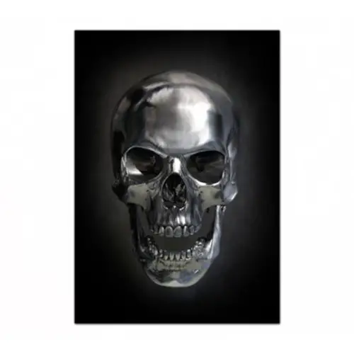 decoration rock accessoire tete de mort tableau sombre crâne humain