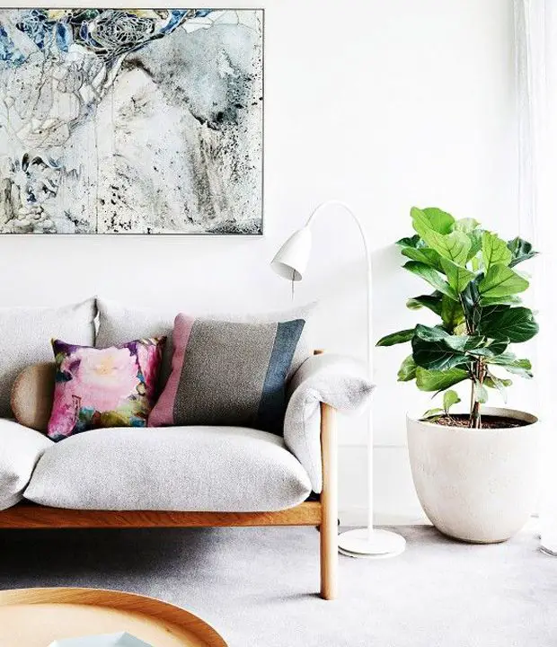 slow deco salon familial minimaliste exemple petit canapé gris et bois plante verte figuier