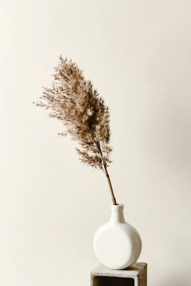 decoration moderne slow living exemple herbe de pampa vase épuré minimaliste japandi