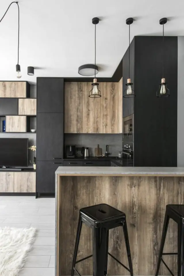 association bois et couleur noir cuisine moderne façade deux tons