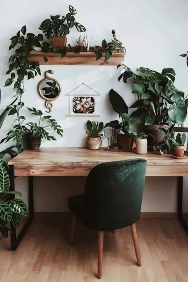 exemple decoration bureau moderne bois étagère plantes vertes