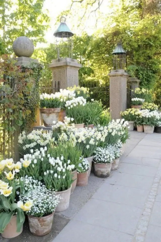 exemple terrasse deco pot plantes décoration portail entrée allée mix and match fleurs