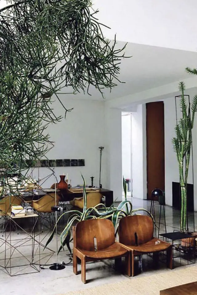 meuble vintage plantes vertes exemple chaise cinéma salle attente en bois
