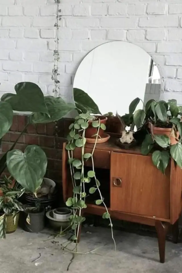 meuble vintage plantes vertes exemple petit buffet années 50