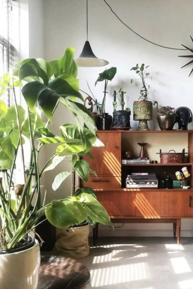 meuble vintage plantes vertes exemple bibliothèque rangement style année 50 60