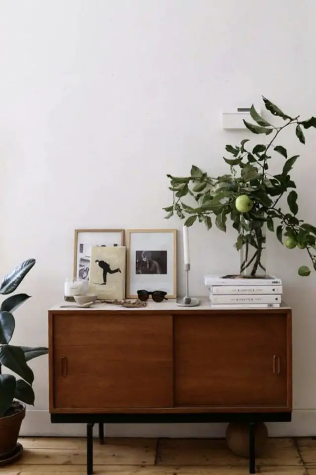 meuble vintage plantes vertes exemple petit mobilier buffet mid century modern bois sombre