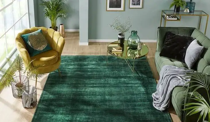 salon tapis vert inspiration deco idee conseils séjour chambre à coucher