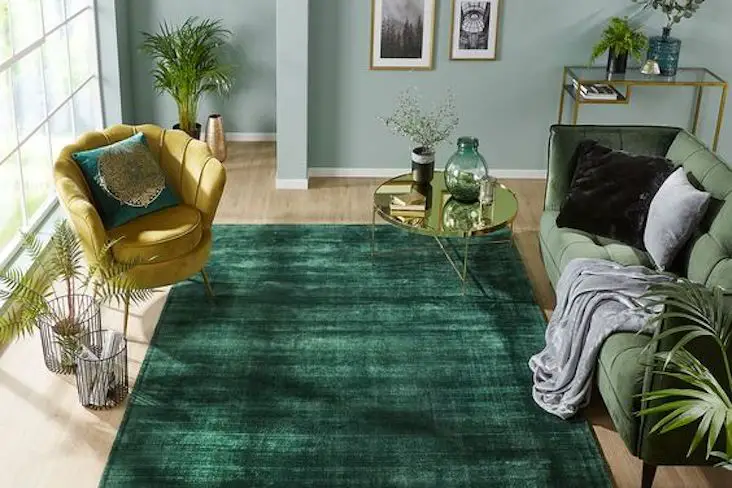 salon tapis vert inspiration deco idee conseils séjour chambre à coucher