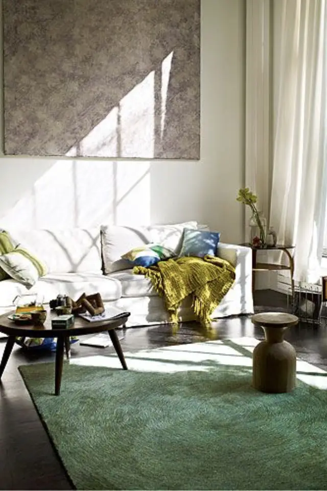 tapis vert salon exemple moderne lumineux canapé blanc