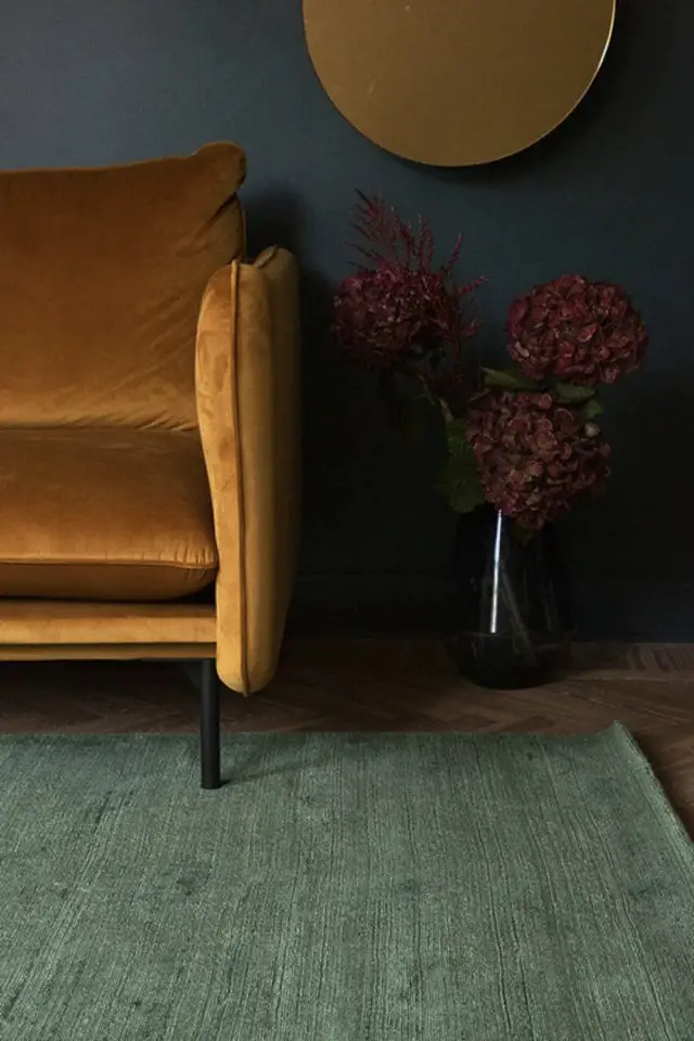 tapis vert salon exemple canapé en velours couleur ocre ambiance feutrée élégante