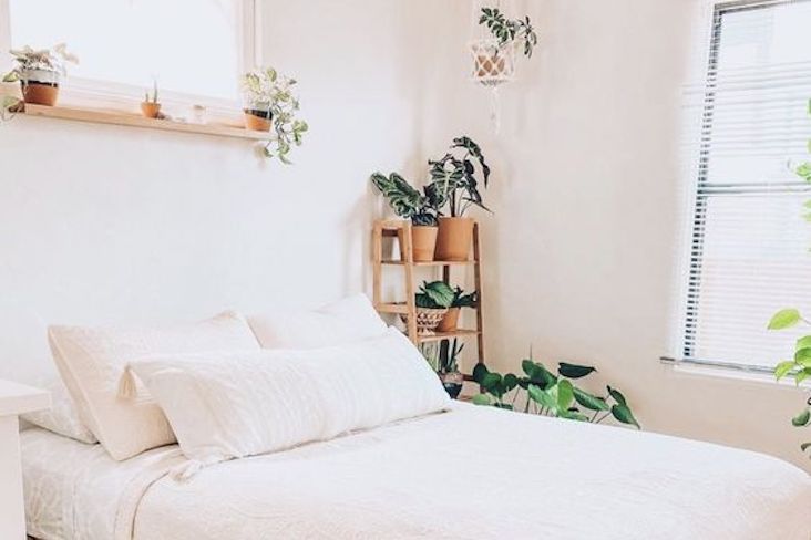 blog idee deco moderne plante chambre meuble vert noel décorations bureau