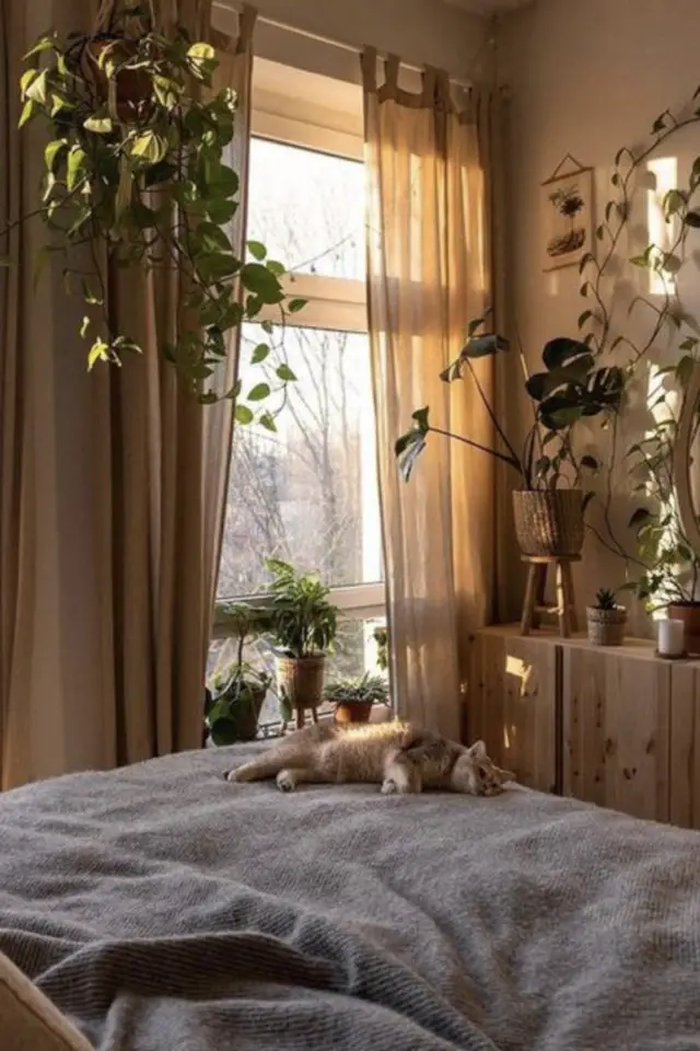 exemple chambre plantes vertes ambiance moderne et cosy
