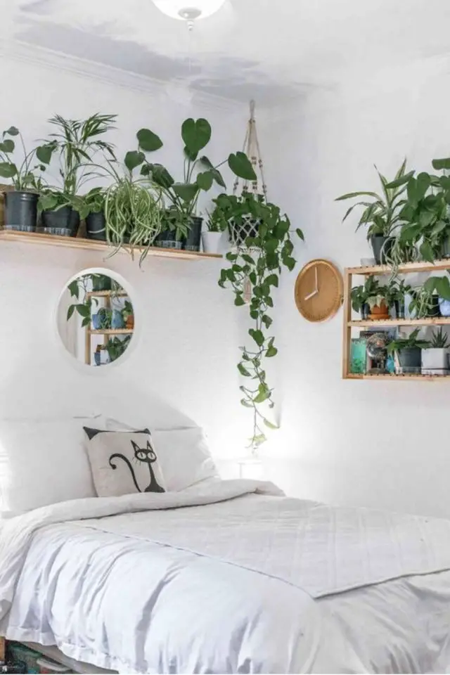exemple chambre plantes vertes étagères décoration murale