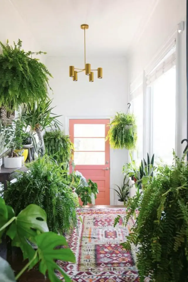 exemple entree hyper coloree mur blanc porte couleur rose plantes vertes
