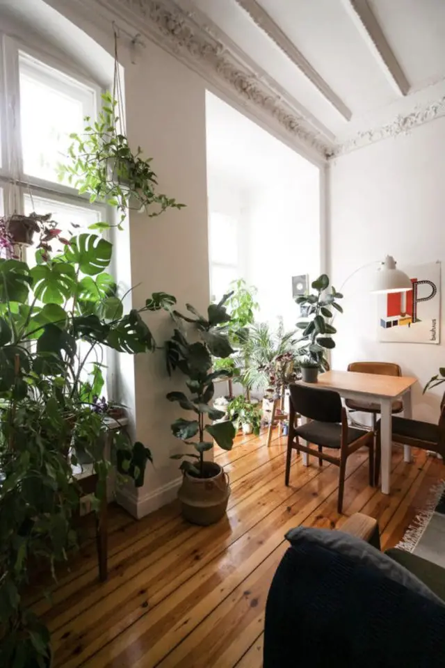 exemple deco interieure plantes tendance petit espace salle à manger repas plante lumière naturelle