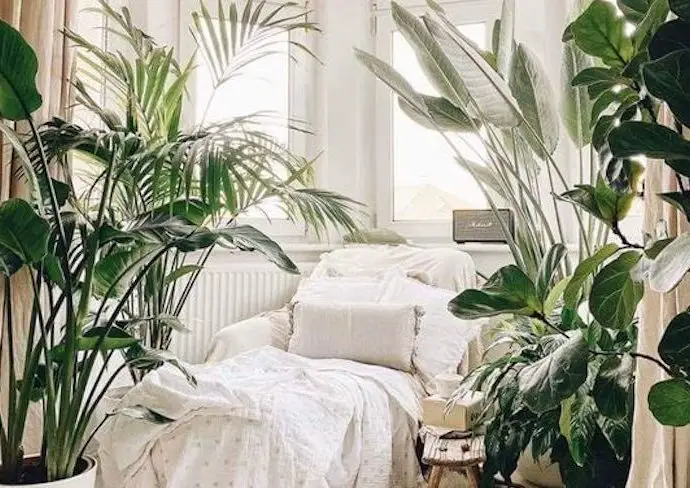 6 espaces a creer pous se sentir bien plantes repos méridienne fenêtre simplicité