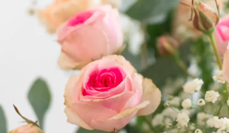 cadeau saint valentin fleur moderne bouquet romantique intemporel rose