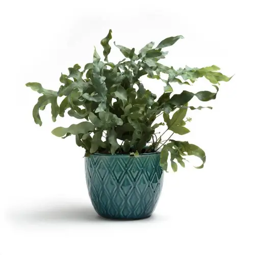 deco piece plante bien etre Cache-pot Ø21 cm bleu vert éclectique