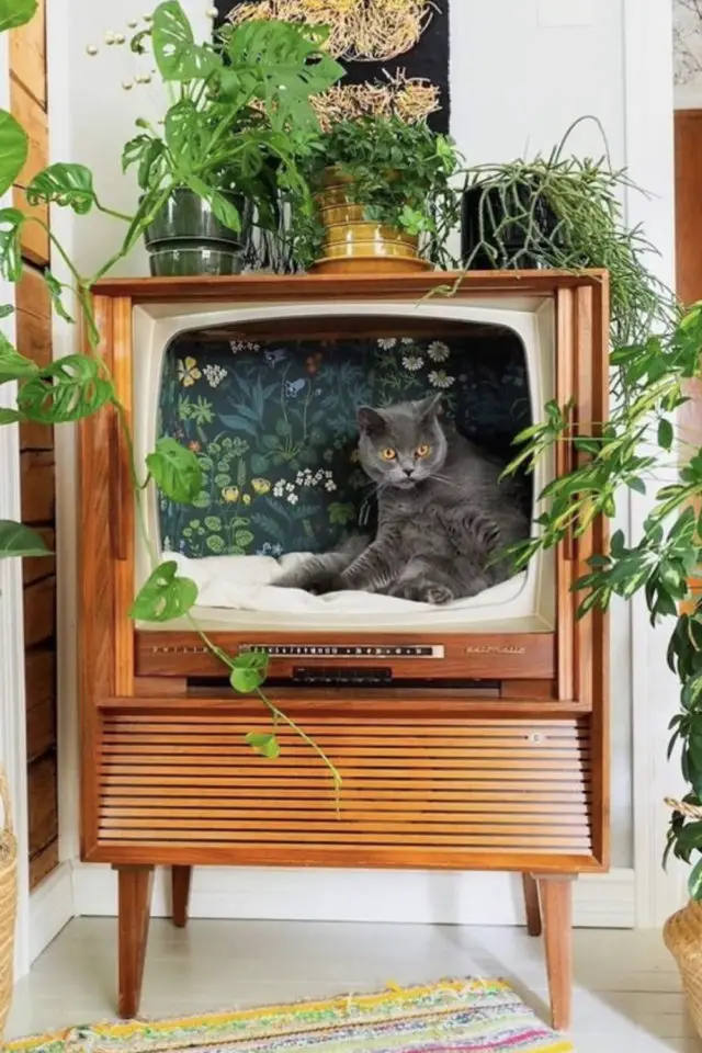 decoration chat licorne pour adulte relooking DIY ancien meuble tv vintage boite panier chat