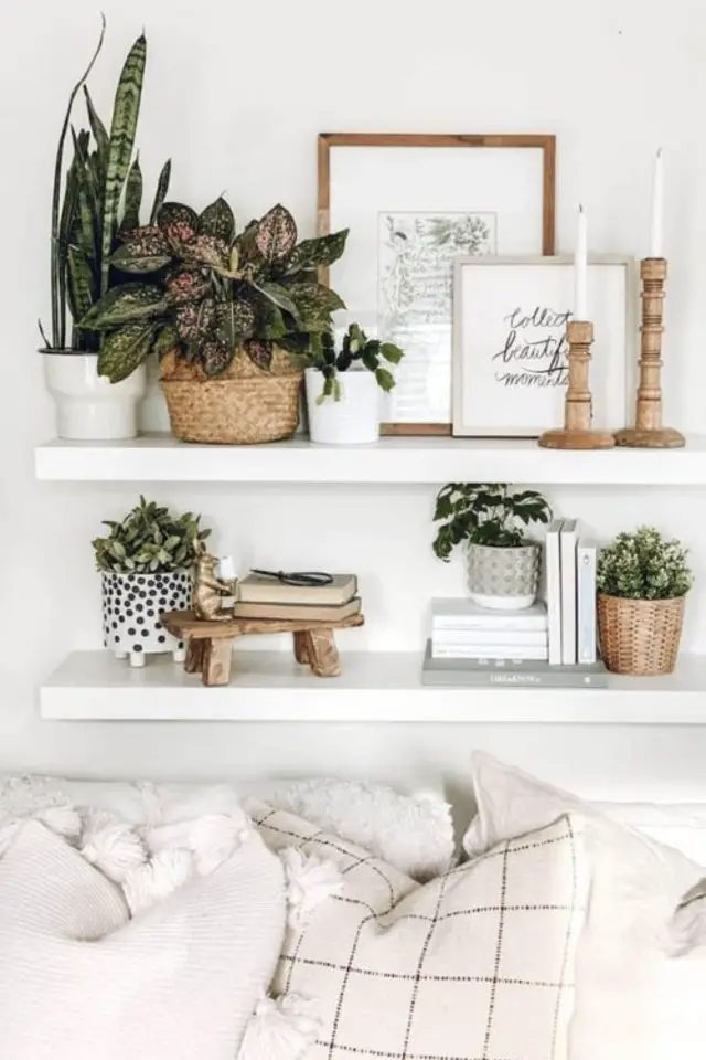 exemple decoration moderne plante interieure étagère blanche dessus canapé cadres livres cache-pot neutre
