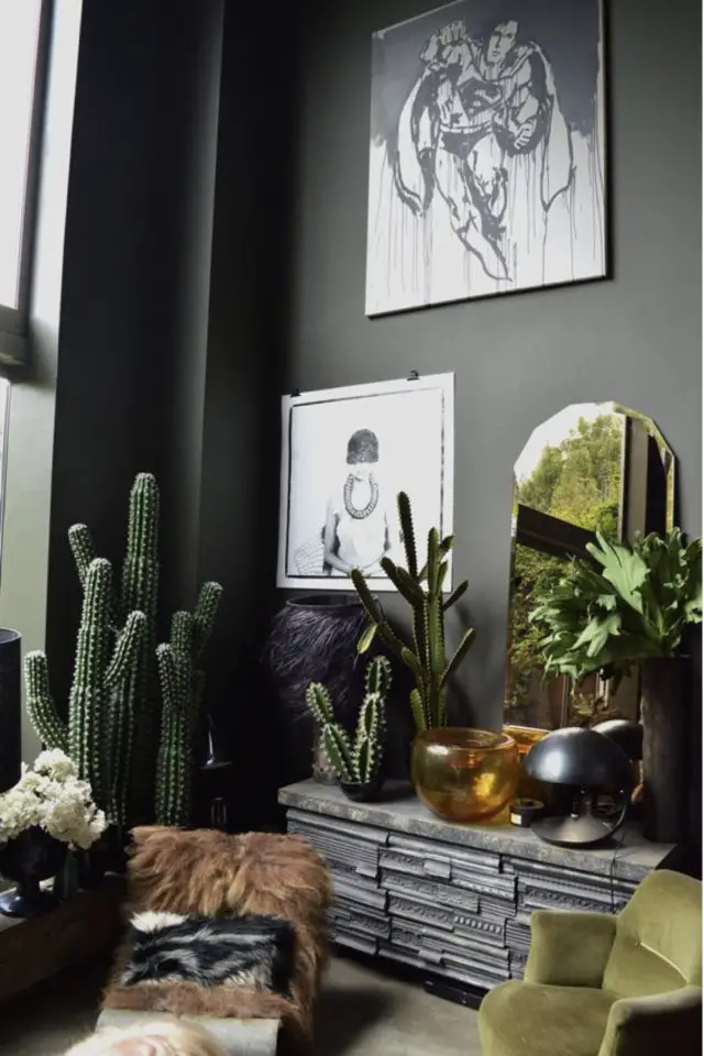 decor masculin plantes vertes exemple mur couleur sourde noir cactus plantes en pot