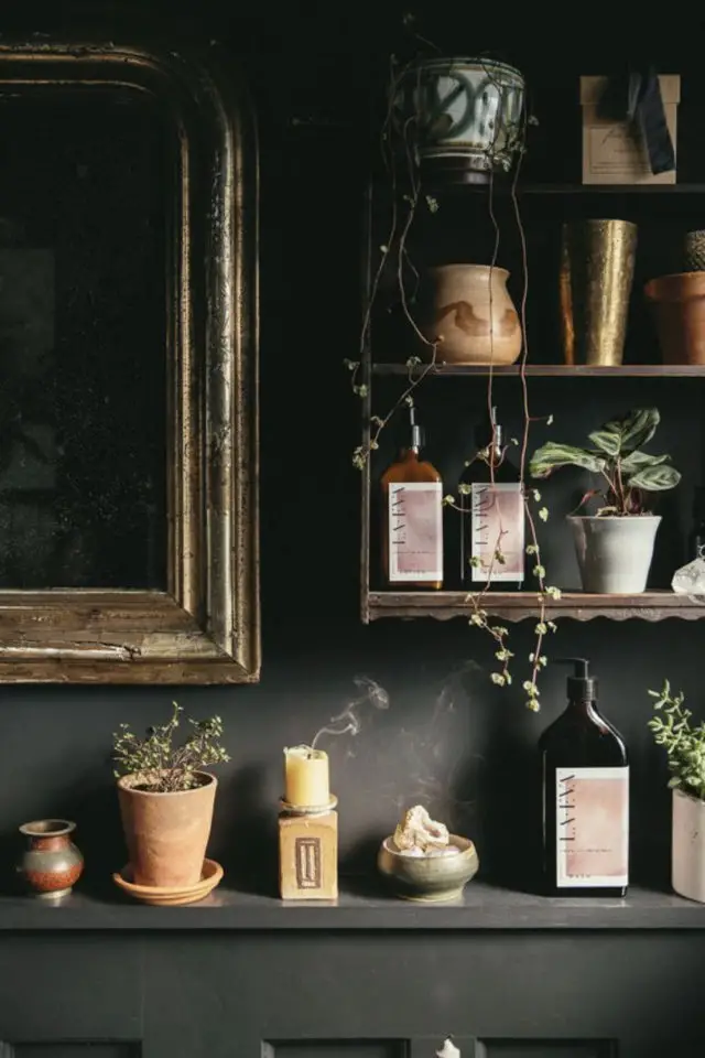 exemple deco gothique tim burton peinture sombre détails décor étagère miroir ancien cadre laiton plantes et fioles