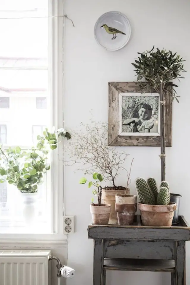interieur moderne deco plantes exemple petite console ancienne photo noire et blanc pot en terre cuite cactus eucalyptus