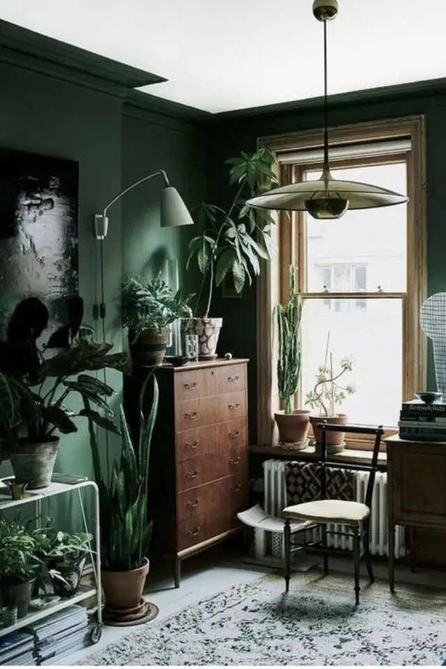 peinture verte plante interieure exemple meuble en bois vernis ambiance vintage vert sapin