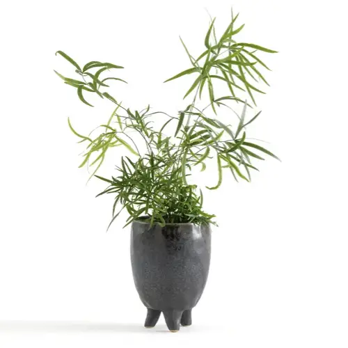 petite deco fleur plantes Vase en grès H18,5 cm organique gris