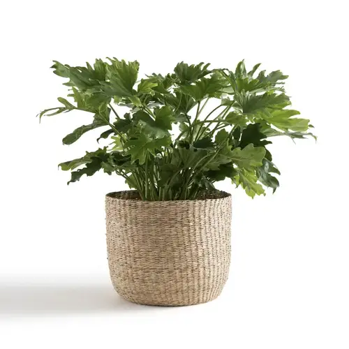 petite deco vase cache-pot Cache-pot en herbier Ø40 cm grand formal style nature chic