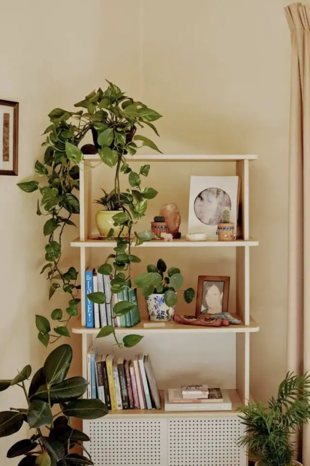 decoration etagere livres plantes petit meuble en bois étagère angle salon séjour