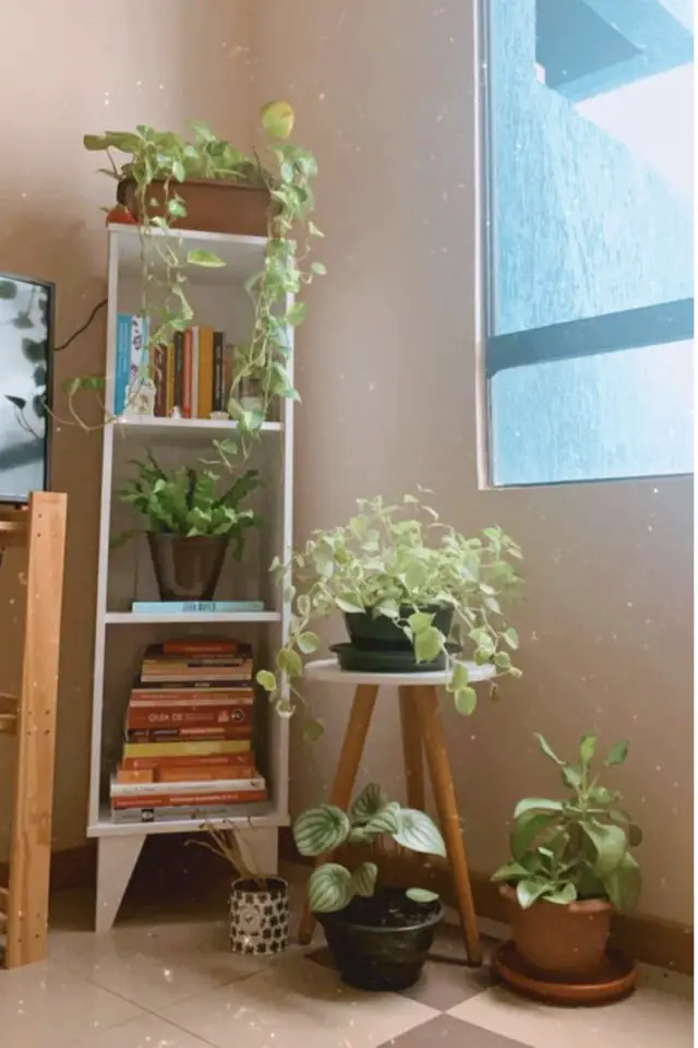 decoration etagere livres plantes meuble casier peu encombrant angle d'une pièce