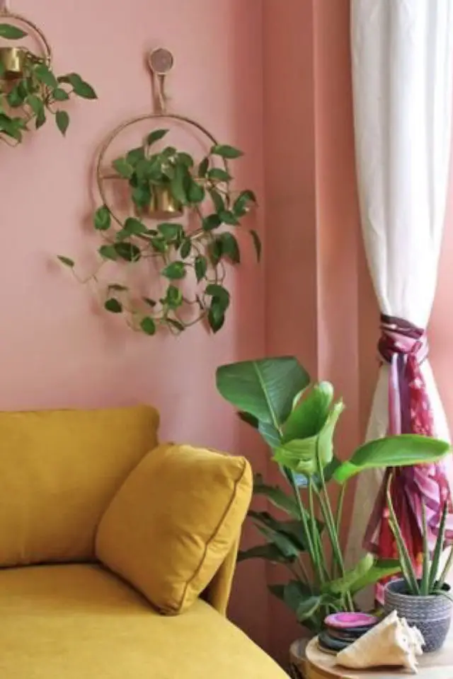 peinture mur rose plantes vertes canapé jaune fraicheur frais plante intérieures suspendues élégante