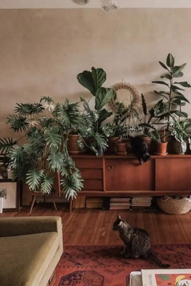 quelle variete plantes dessus meuble enfilade vintage mid century modern accumulation végétale maximalisme
