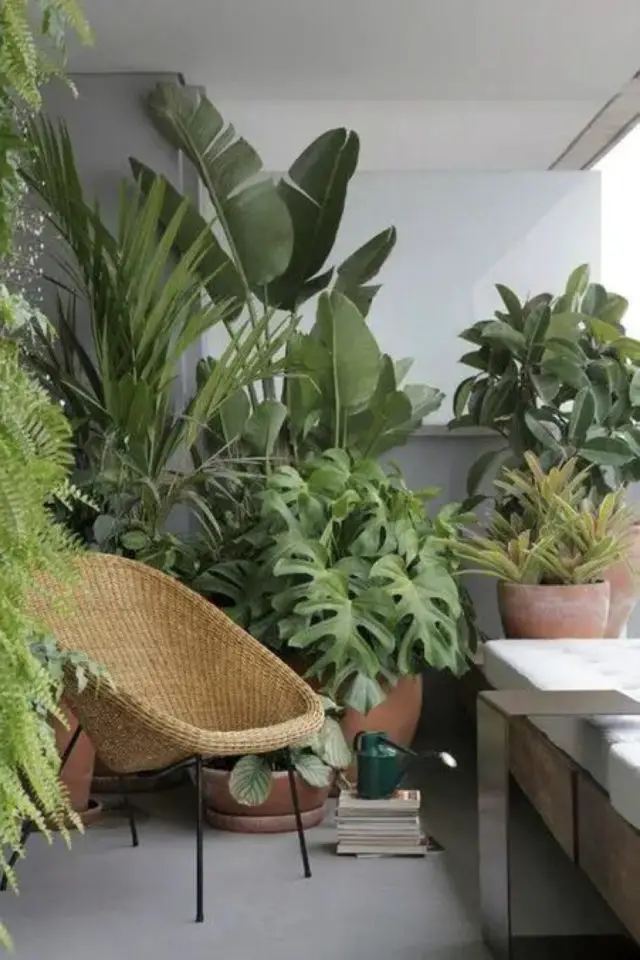 choisir plantes pour balcon plantes tropicales modernes