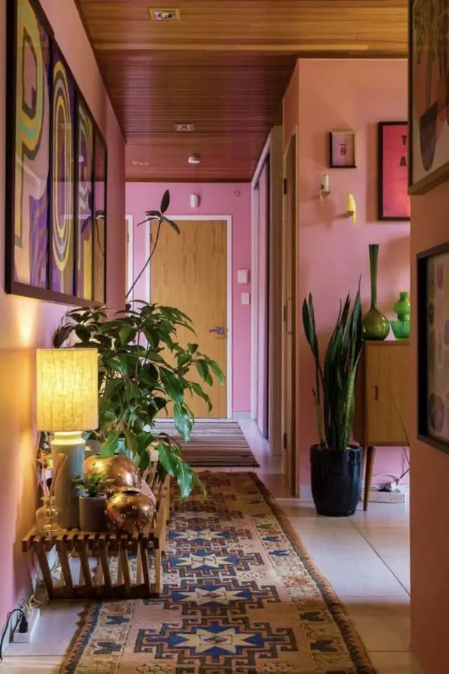 entree couleur rose exemple peinture ambiance moderne plantes élégante
