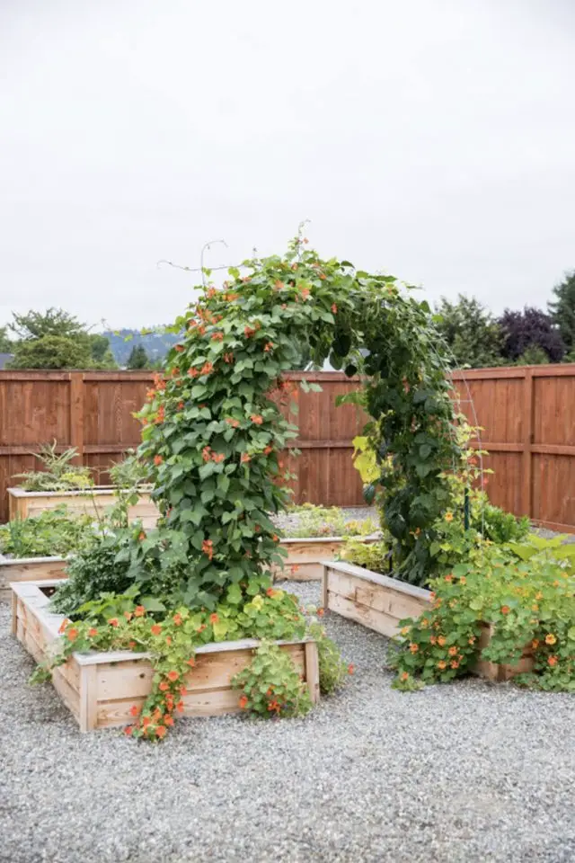 exemple deco jardin arche fleur potager jardinière en bois mélange fleur et légumes