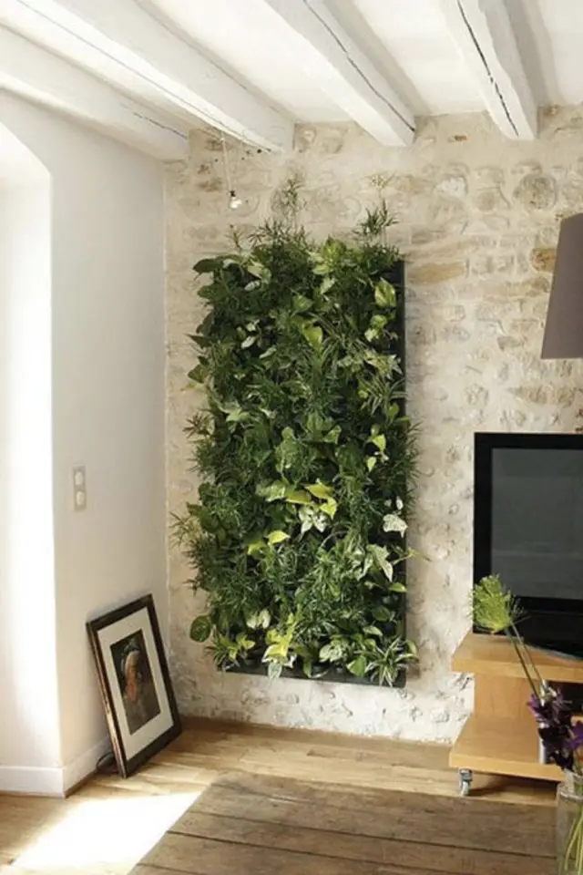 exemple jardin vertical interieur pan de mur tapis de plantes vertes décor mural