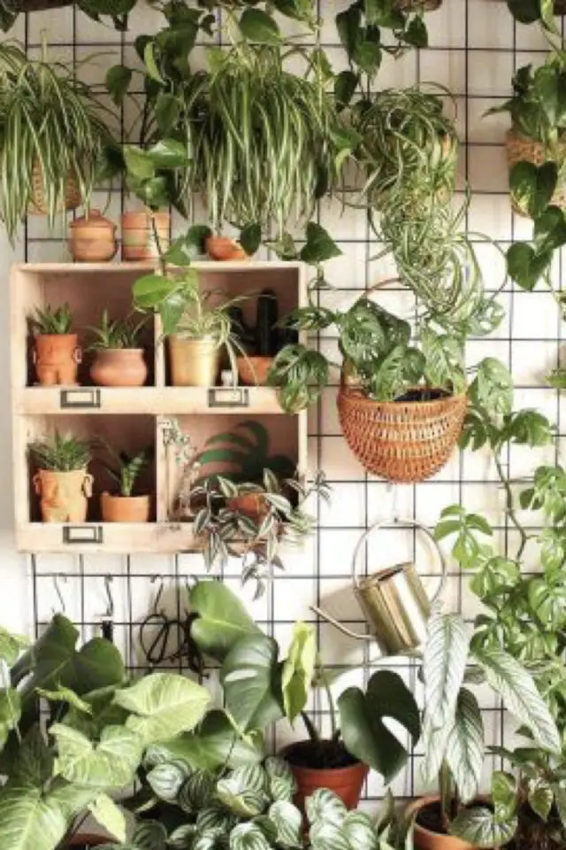 exemple jardin vertical interieur pots jardinières accrochés au mur composition plantes modernes
