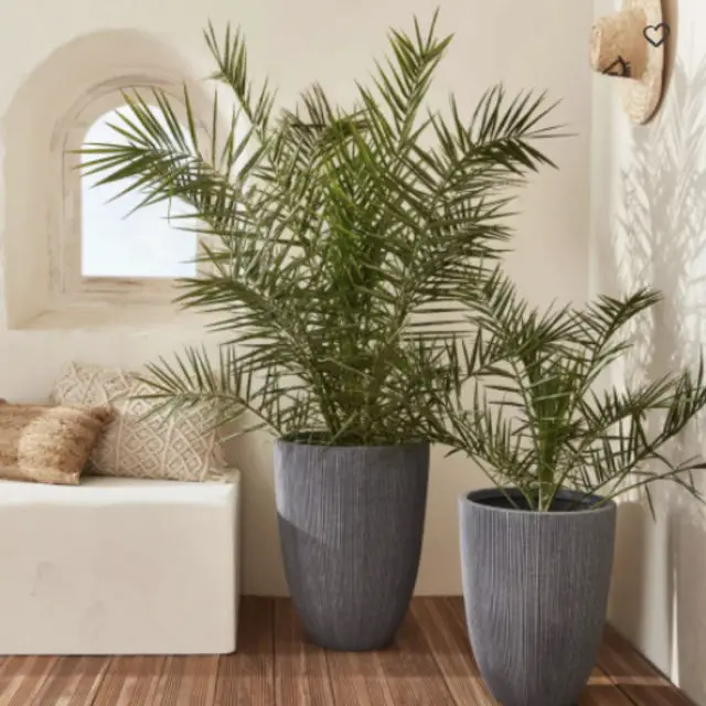 ou trouver accessoire plantes balcon Set de 2 bacs à fleurs, vases en plastique