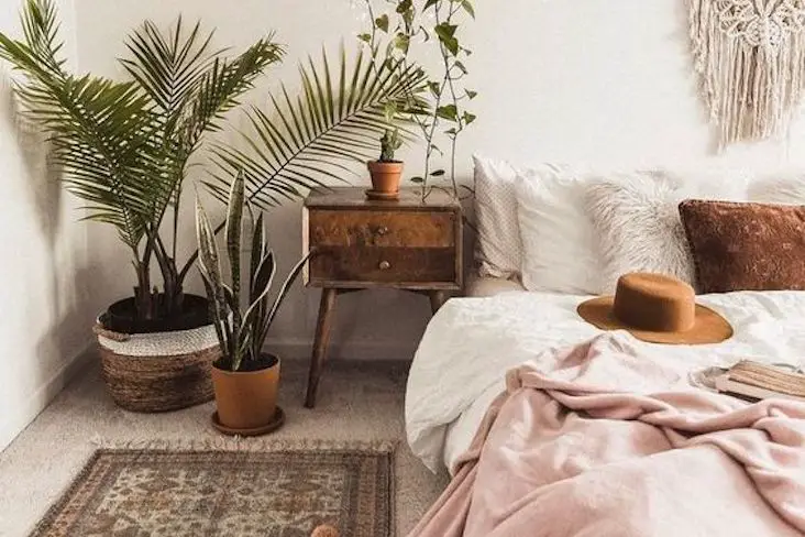 soigner detail deco chambre adulte plantes vertes descente de lit table de chevet moderne éclectique