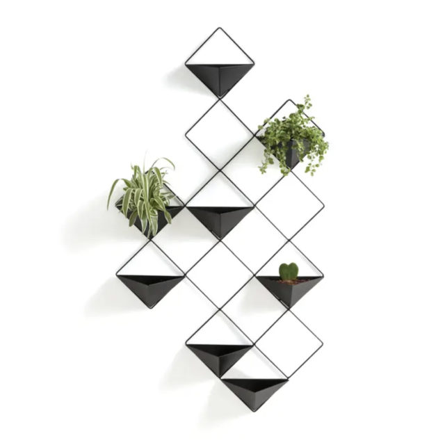 suspendre plantes au mur solution Cache-pot mural métal noir géométrique moderne