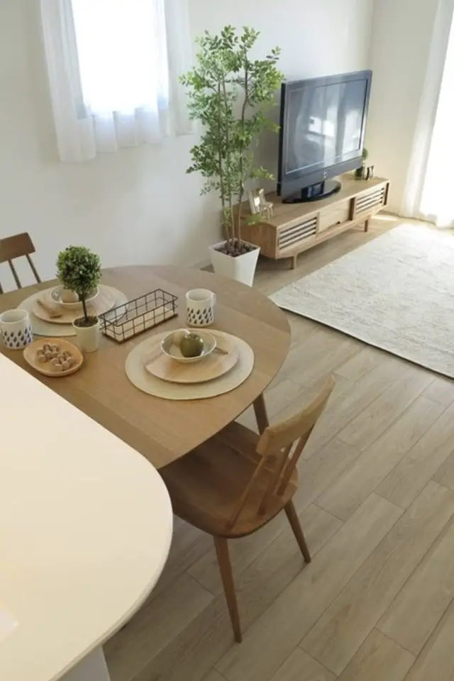 decoration interieure esprit japon moderne salon séjour salle à manger petit espace épuré simple