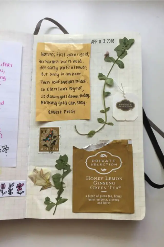 journal de voyage exemple decoration sachet de thé fleure herbier DIY idée activité manuelle