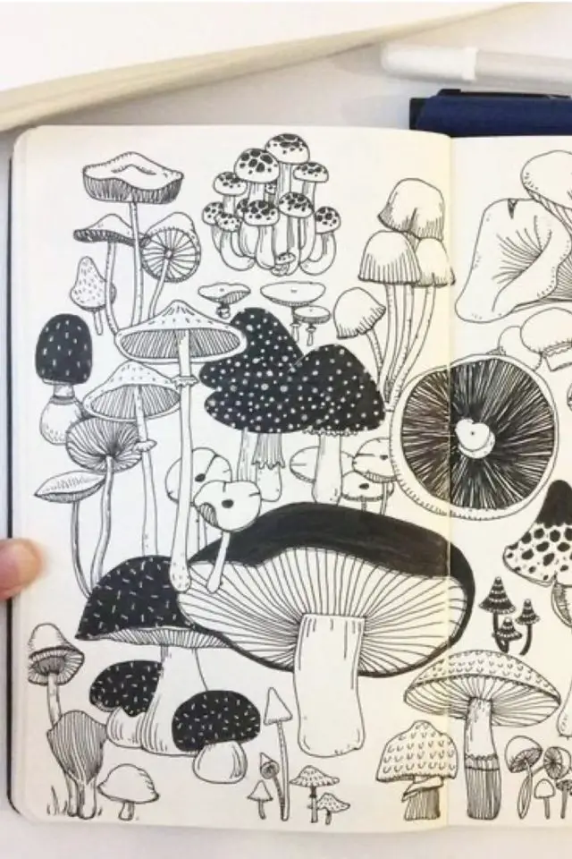 modele motif nature bullet journal cueillette de champignons noir et blanc