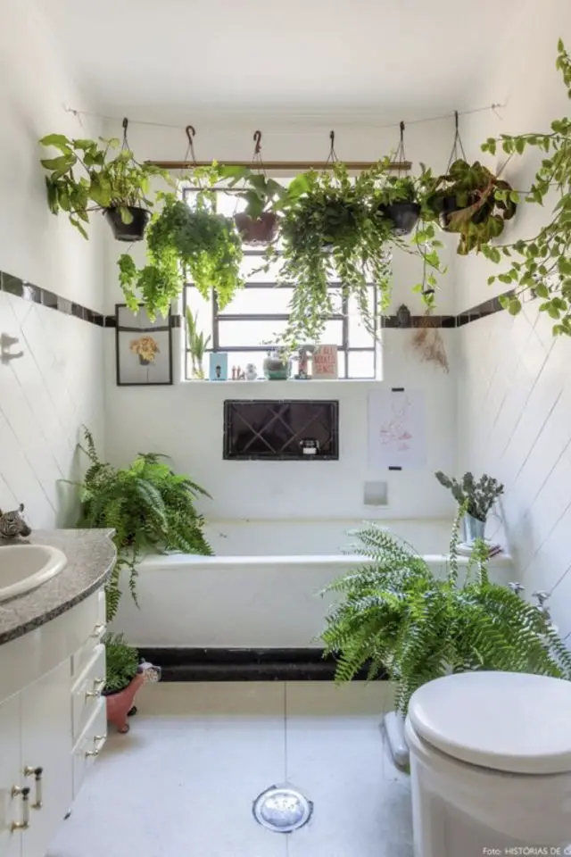 quelle variete plante salle de bain suspendue au dessus de la baignoire sur une échelle