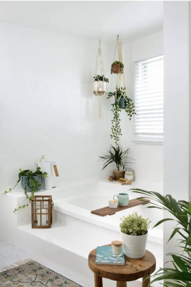 quelle variete plante salle de bain petit format suspendu et à poser pimper pièce blanche