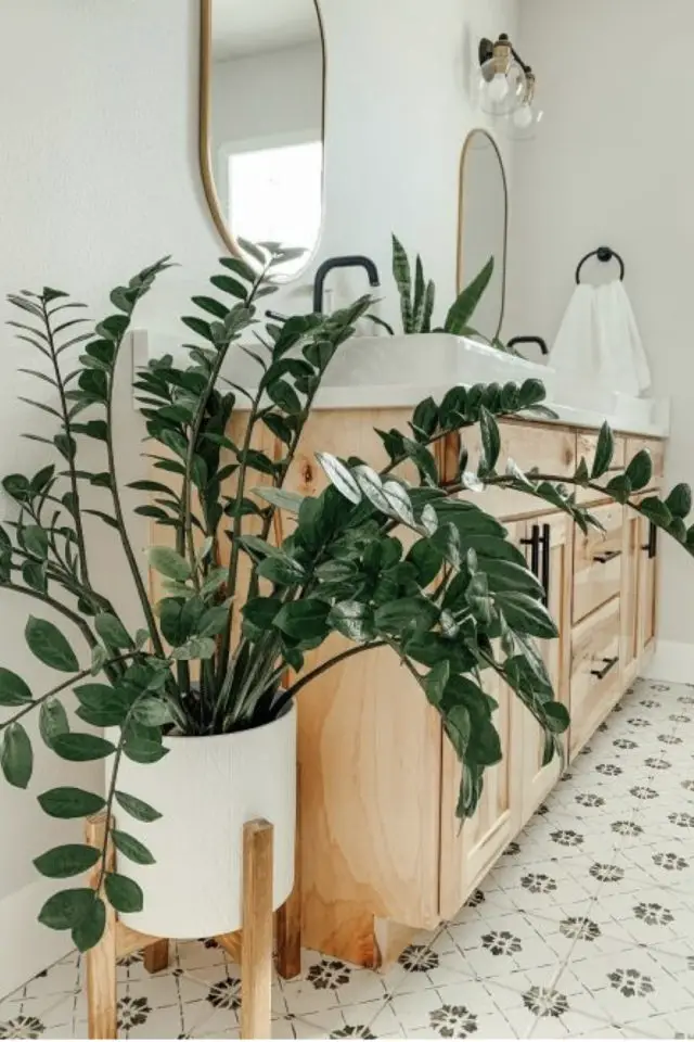 quelle variete plante salle de bain cache-pot sur pied à côté du meuble vasque