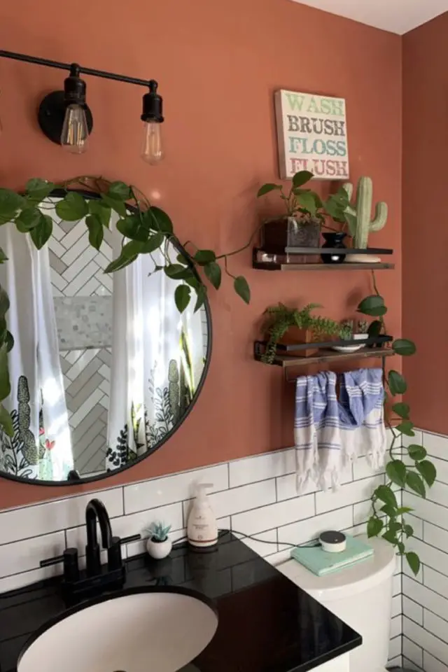 quelle variete plante salle de bain moderne mur couleur terracotta peinture miroir rond étagère